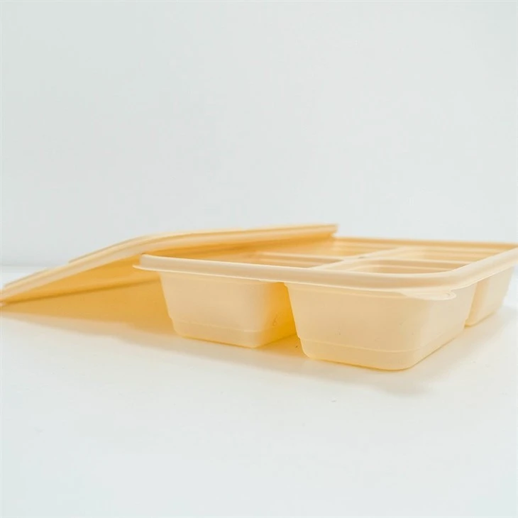 Disposable Divided Food Containers - Designed for Single Use Convenience (2)