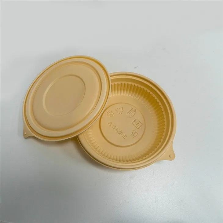 Eco-Friendly Biodegradable Bowls - Ideal for Everyday Use (3)