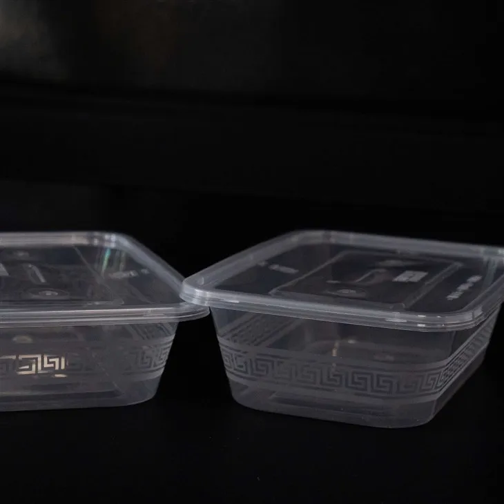 Heat-Resistant Plastic Food Containers - Designed for All Temperatures (8)
