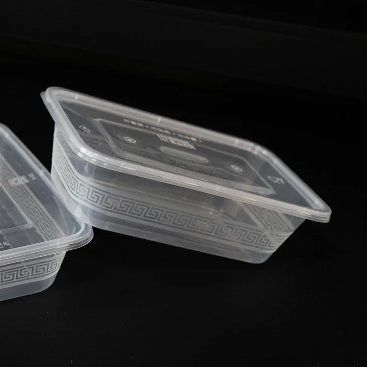 Spill-Resistant Plastic Boxes - Safe for Transport and Storage (4)