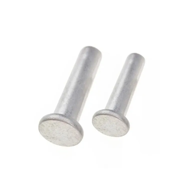 Tnn Chinese Screw Manufacture Cheap Ss Solid Blind Rivet